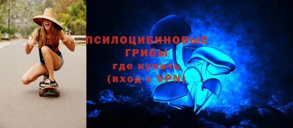 PSILOCYBIN Краснослободск