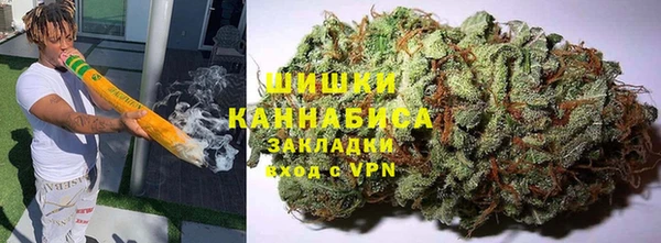 PSILOCYBIN Краснослободск